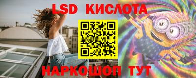 гидра Новодвинск