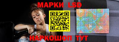 гидра Новодвинск