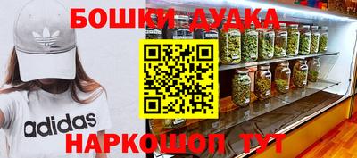 гидра Новодвинск