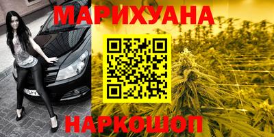 гидра Новодвинск