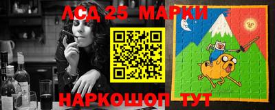 гидра Новодвинск