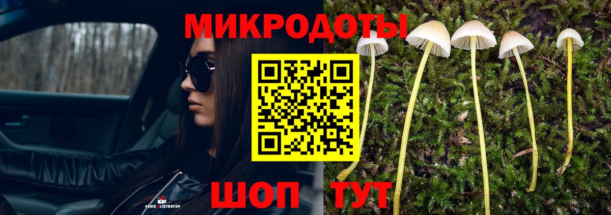 Галлюциногенные грибы Cubensis  Вход с VPN  Чернушка 