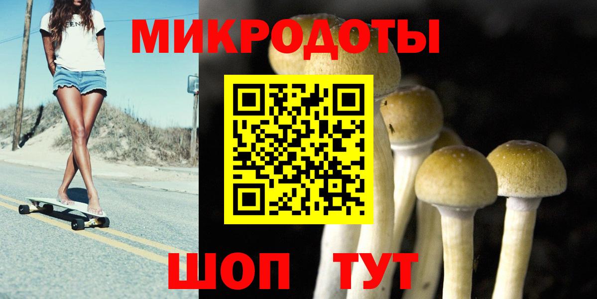 Псилоцибиновые грибы Cubensis Чернушка